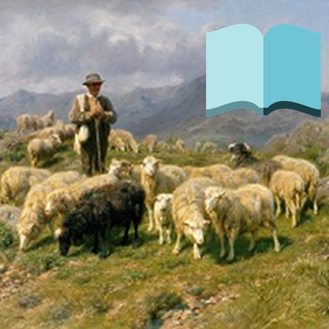 Shepherd – Book
