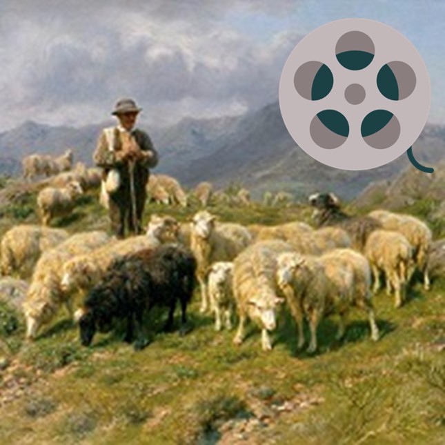 Shepherd – Film