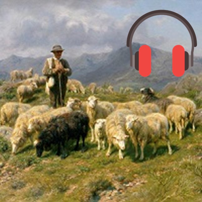 Shepherd – Song