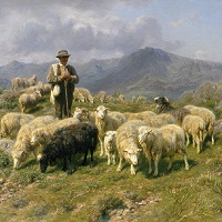 Shepherd