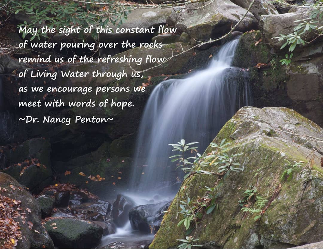 Nancy’s Monday Memes