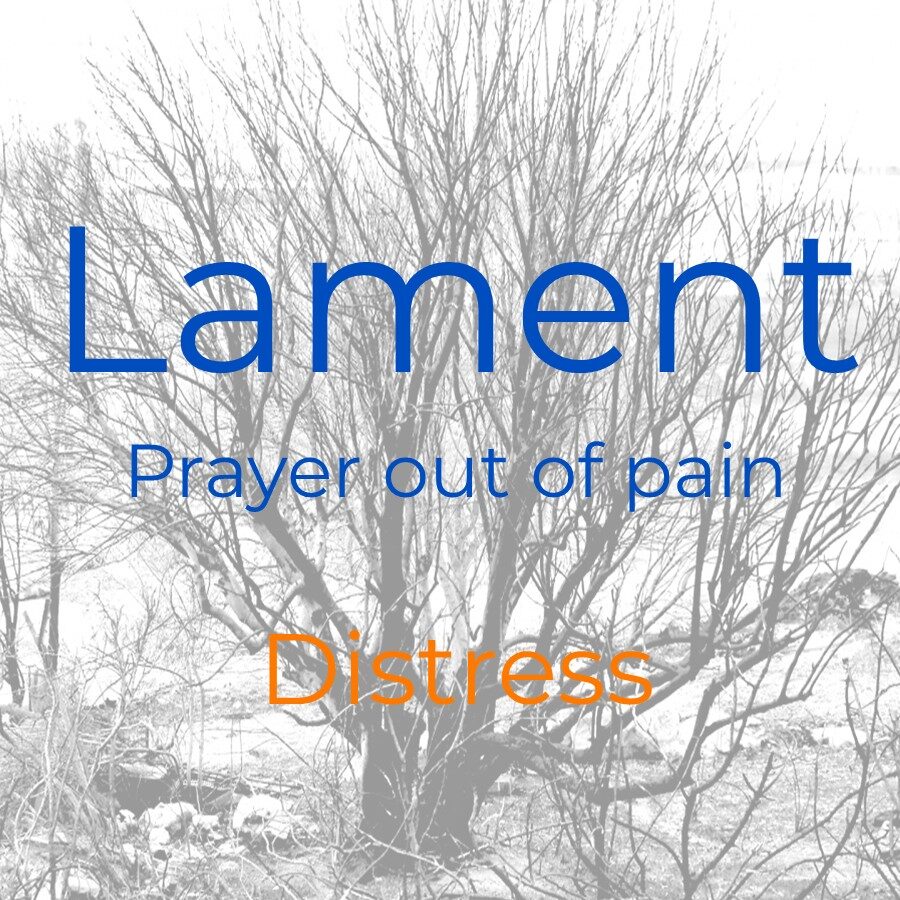 Distress (Lament: prayer out of pain)