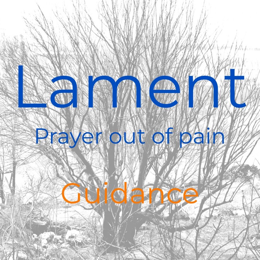 Guidance (Lament: prayer out of pain)