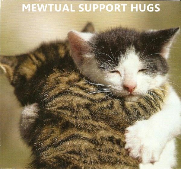 mewtual support hugs