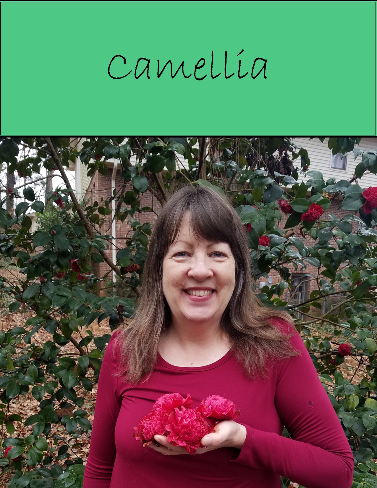 Camellia (thank you, Simon & Garfunkel!)