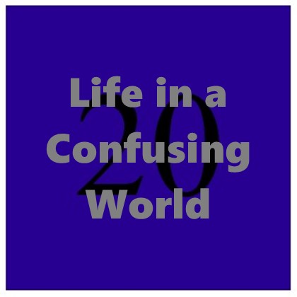 Life in a Confusing World