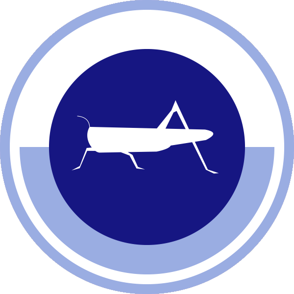 reflectFive – Joel