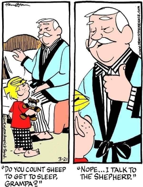 Talk to the Shepherd