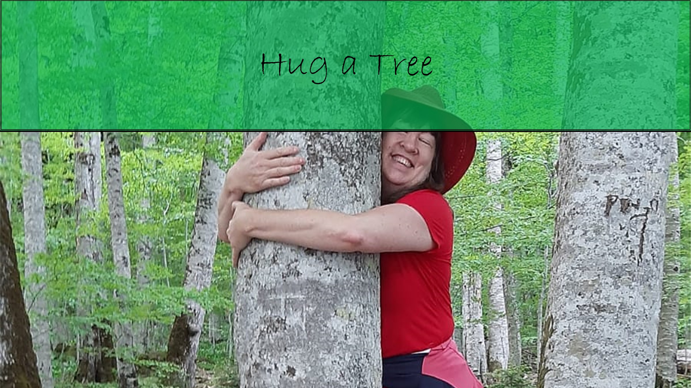 Hug a Tree (thank you, Marshmallo and Bastille!)