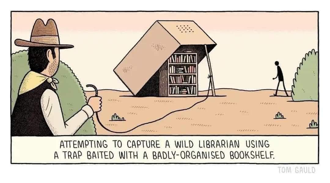 wild librarian