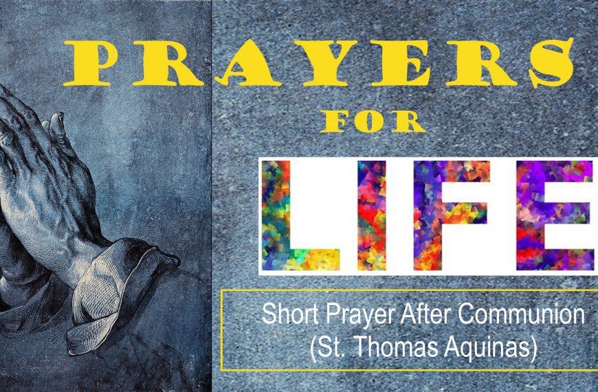 Short Prayer After Communion (St. Thomas Aquinas)