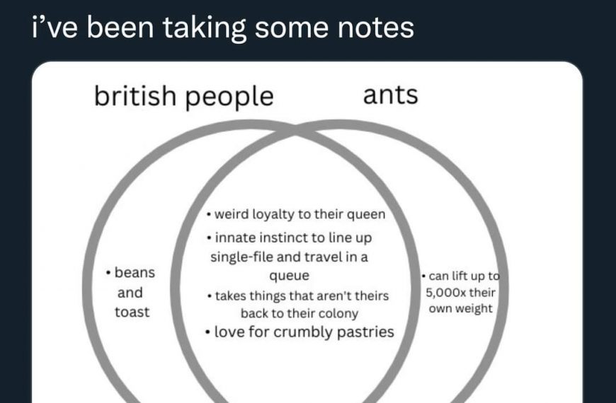 british people and ants