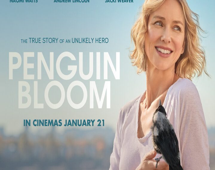 Penguin Bloom (Movie Nights)