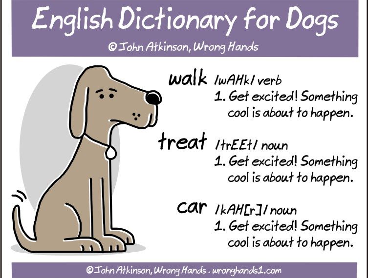 english dictionary for dogs