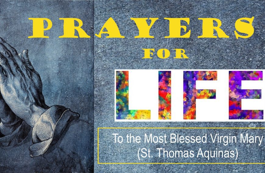 To the Most Blessed Virgin Mary (St. Thomas Aquinas)