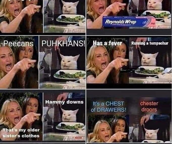 How to speak Southern