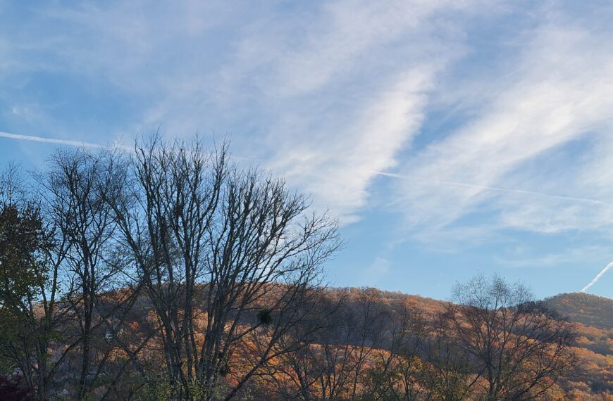 It’s All About Blessing