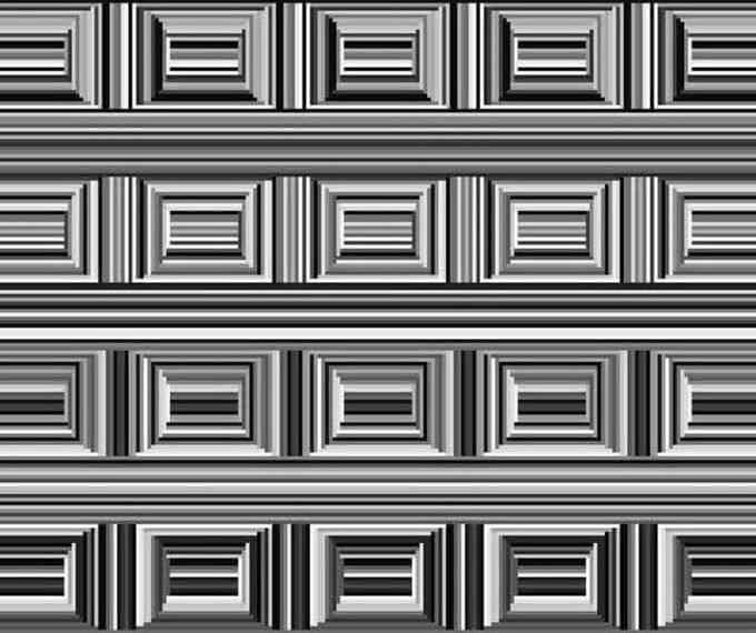 rectangles or circles?